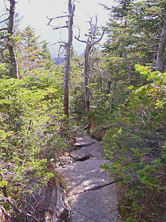 algonquin_descent