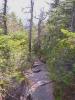 algonquin_descent.jpg