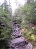 algonquin_descent_2.jpg