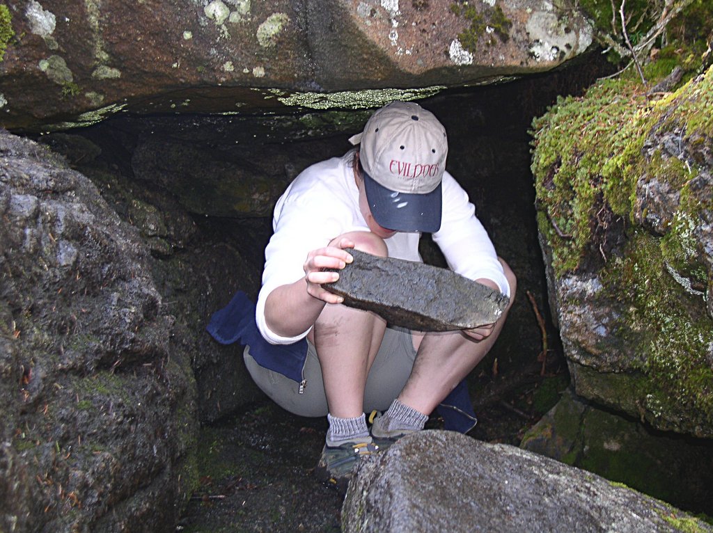 working_troll