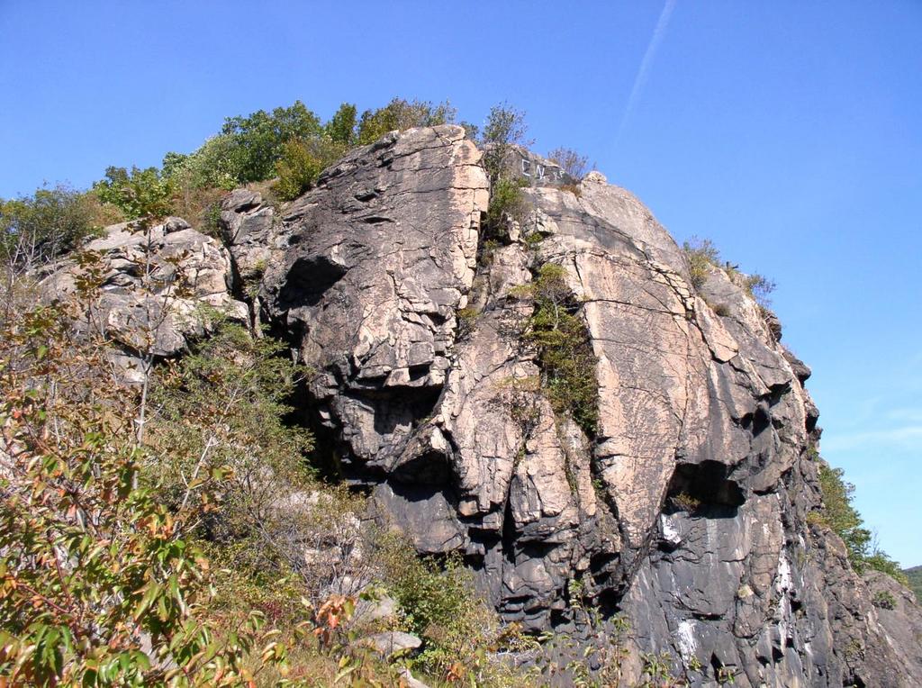 false_summit