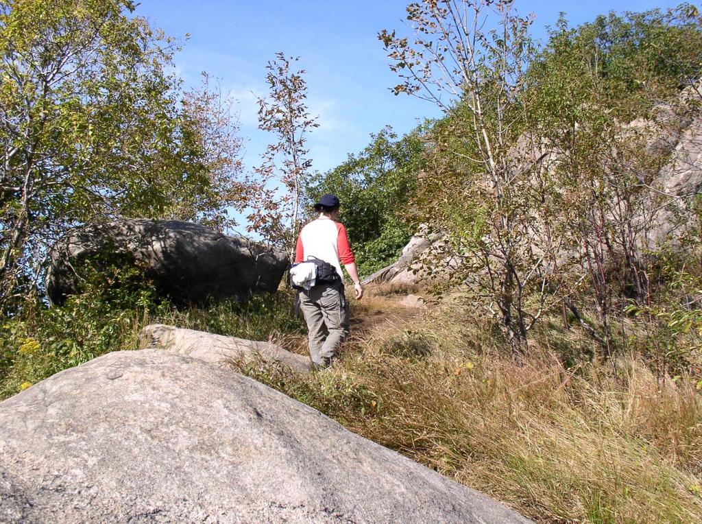 ridge_nymph