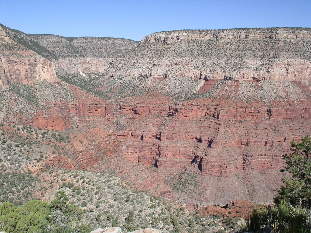 g_toroweap_coconino_hermit