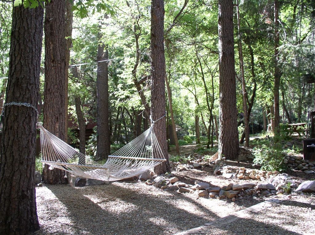 o_cottonwood_ponderosa_sunlight