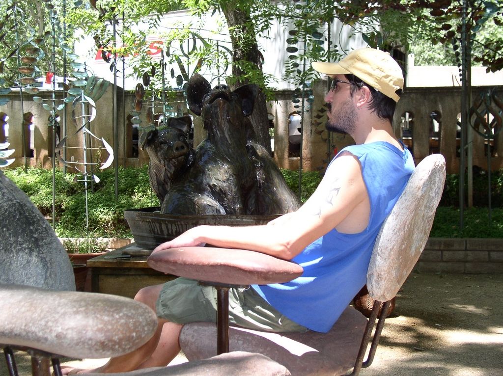 o_sunbathing_with_pigs