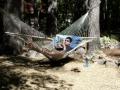o_hammock.jpg