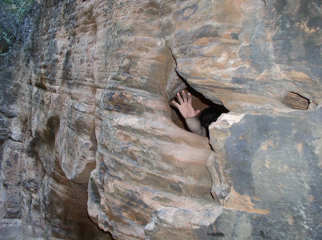 z_window_troll