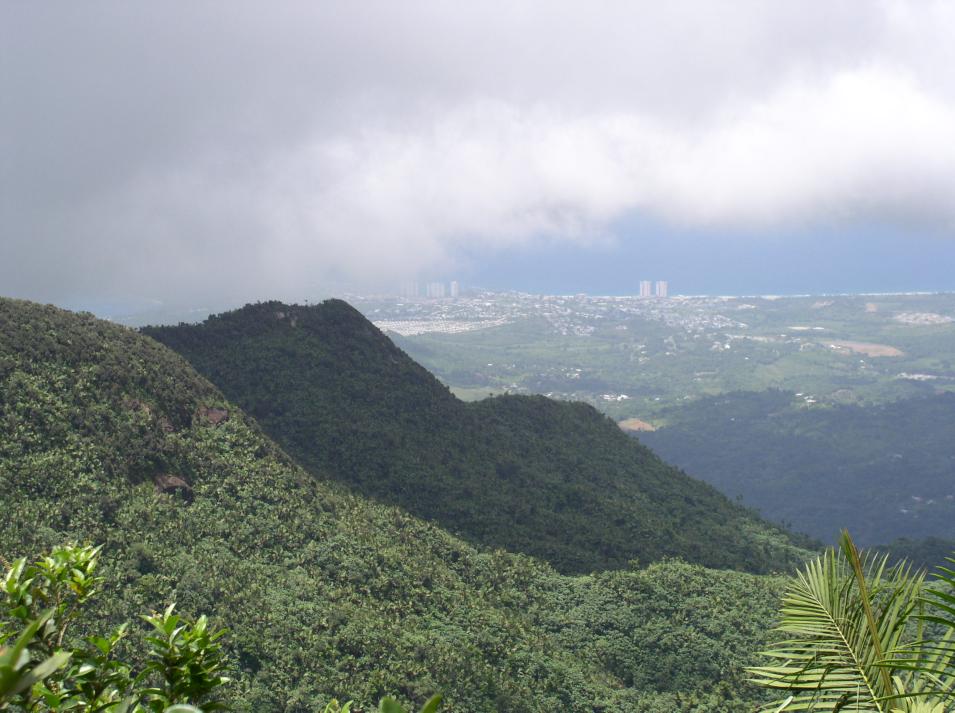 fajardo