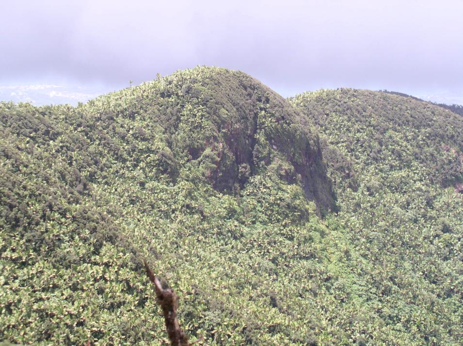 mountains