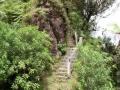 stairway.jpg