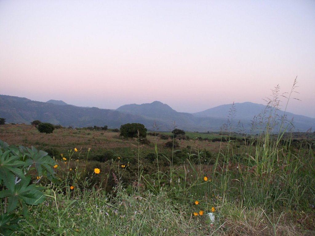 a_pies_de_las_sierras_madres