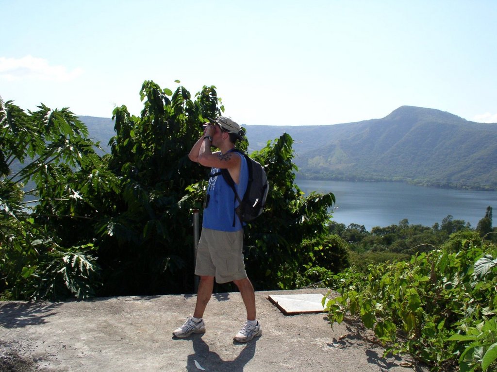 buscando_pajaros