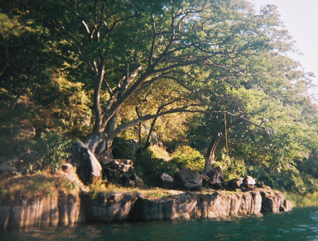 hecho_de_natura