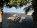 playa_entre_palmas.jpg