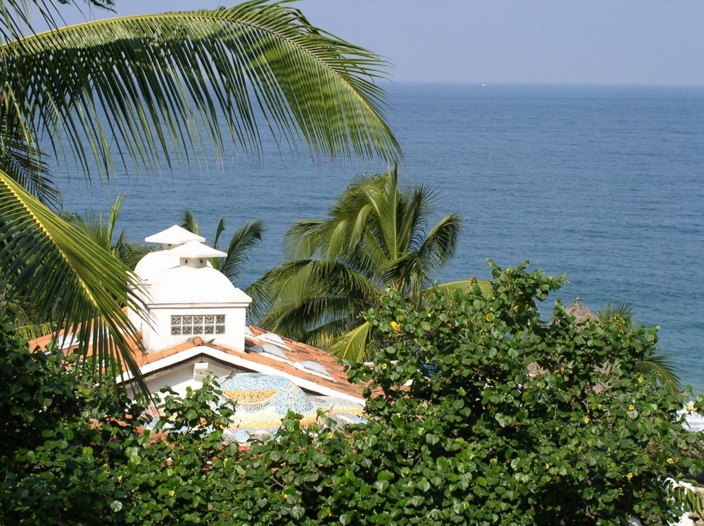 vista_de_la_casa