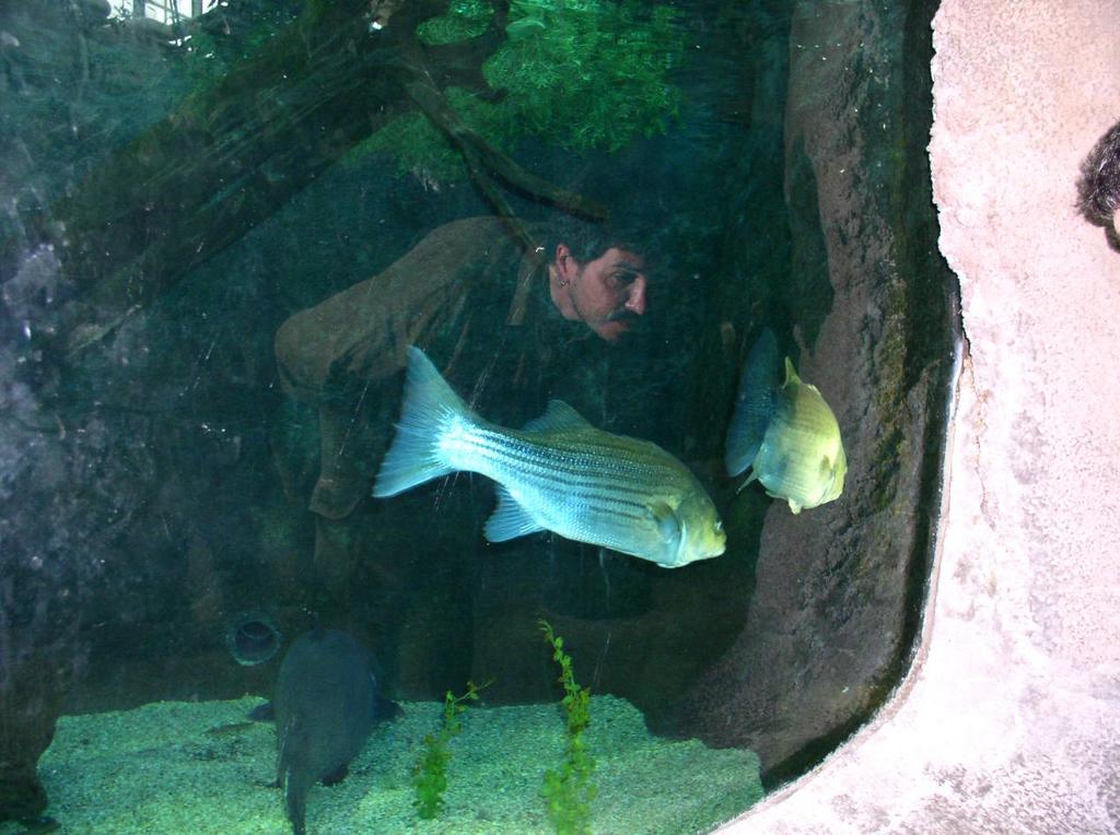 dog_eating_catfish