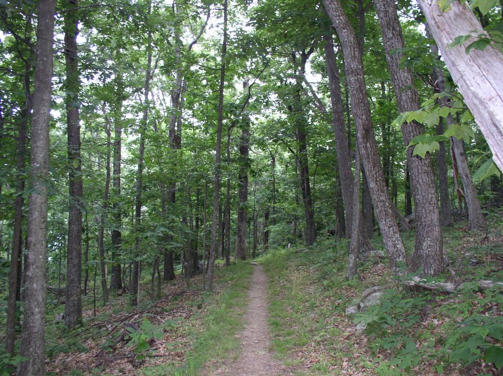 03_jr_appalachian_trail