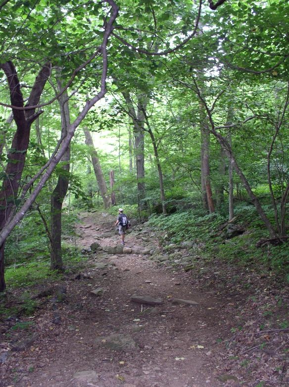 09_distant_jimmy