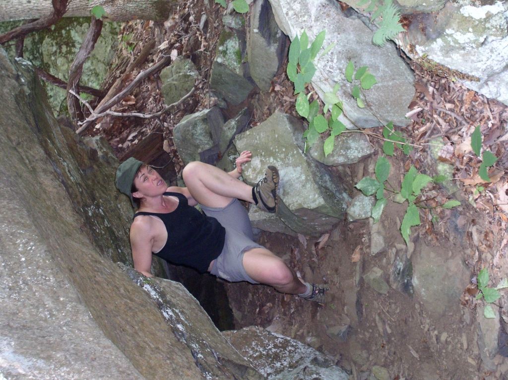 13_spider_troll