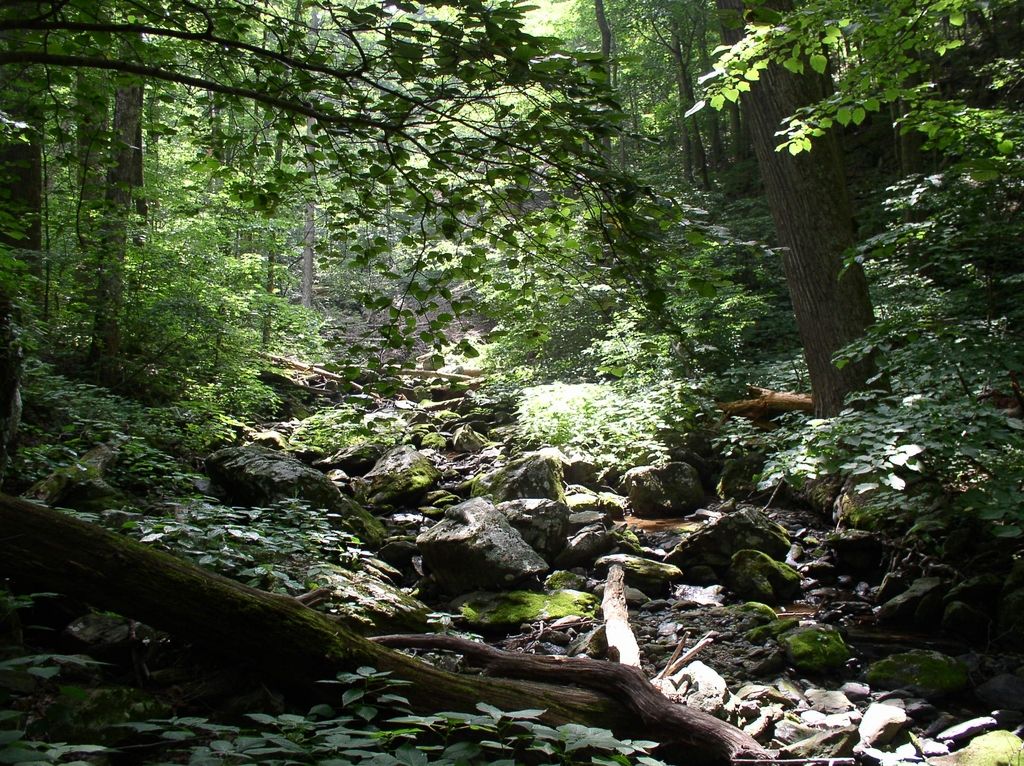 20_light_hollow