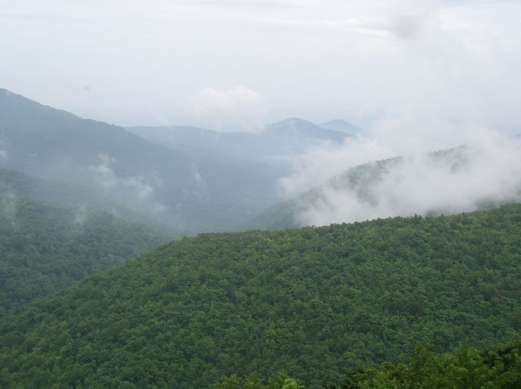 34_ivy_creek_overlook