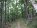 03_jr_appalachian_trail.jpg
