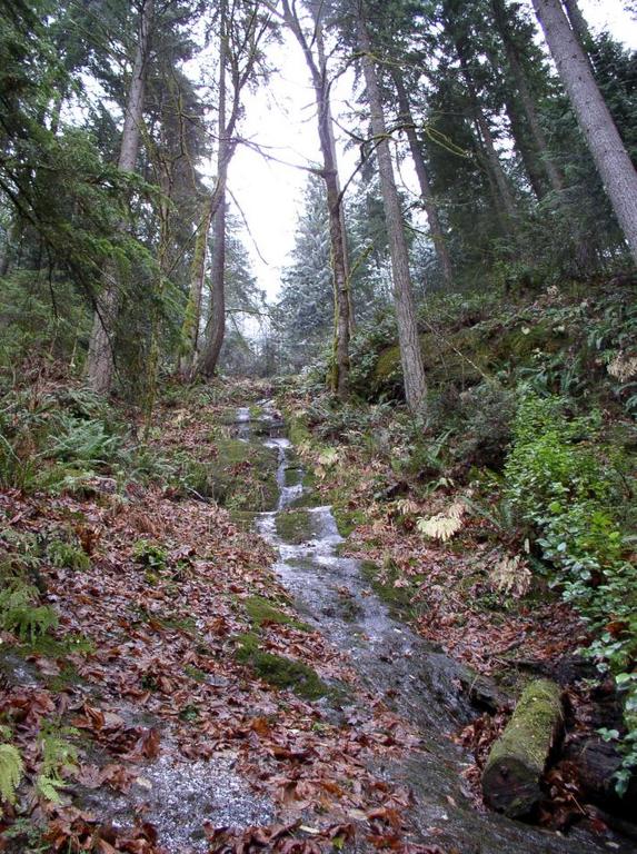 runoff_2