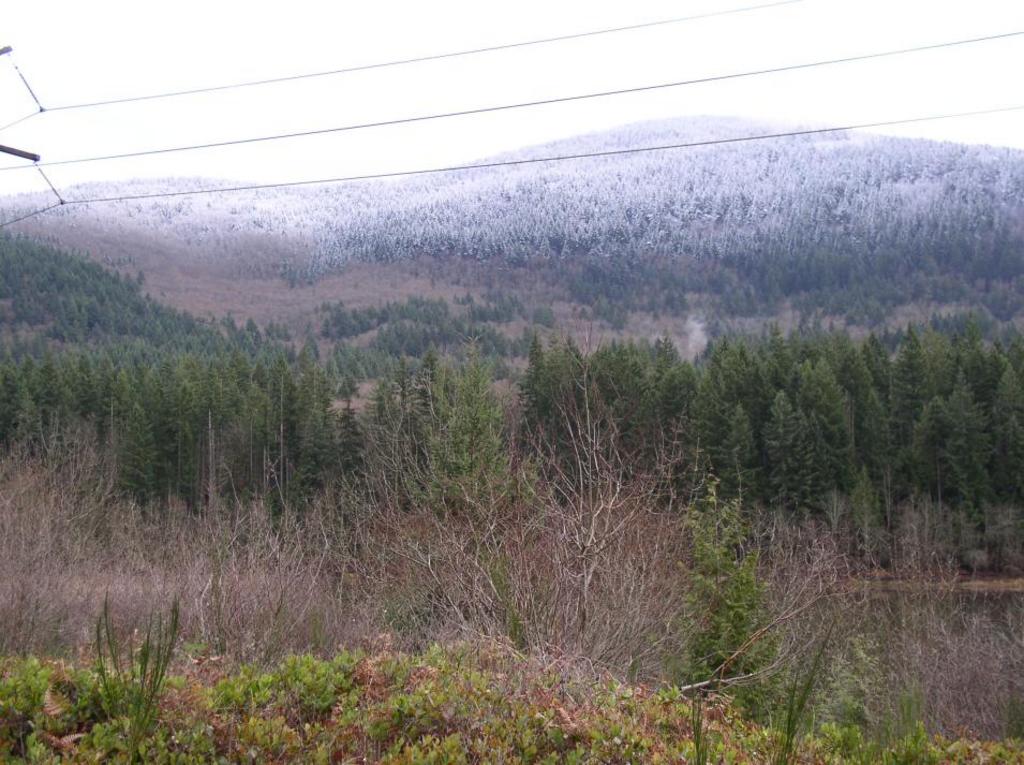 snow_capped