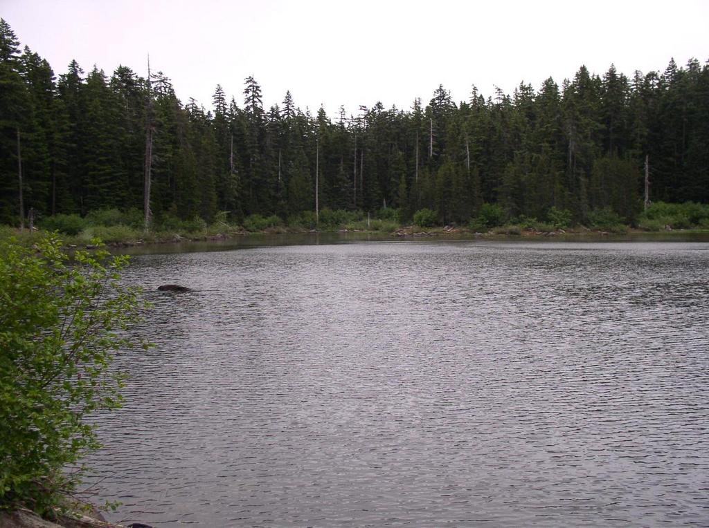 north_lake1