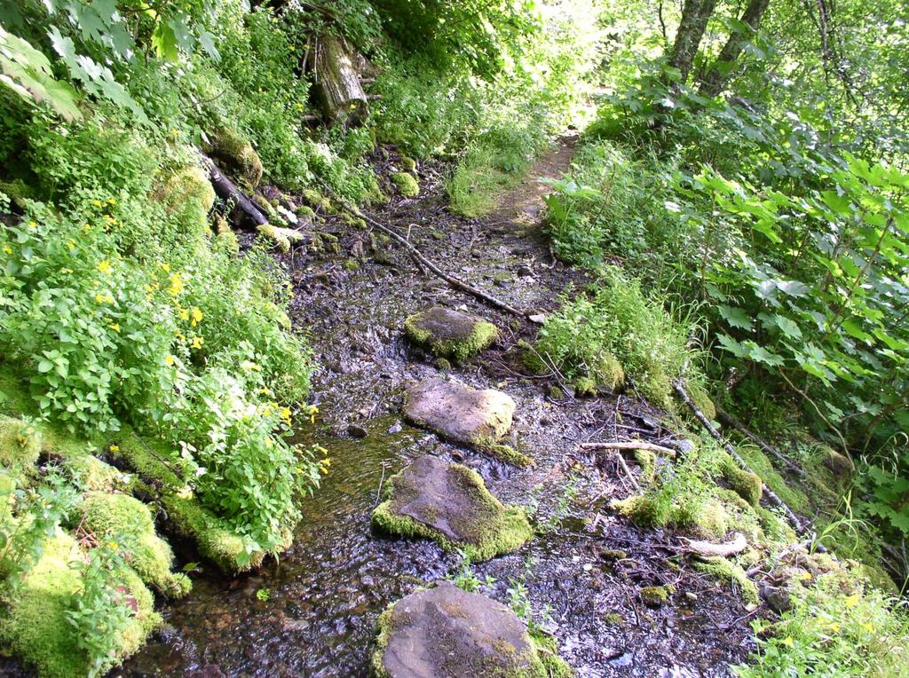 step_fjord0