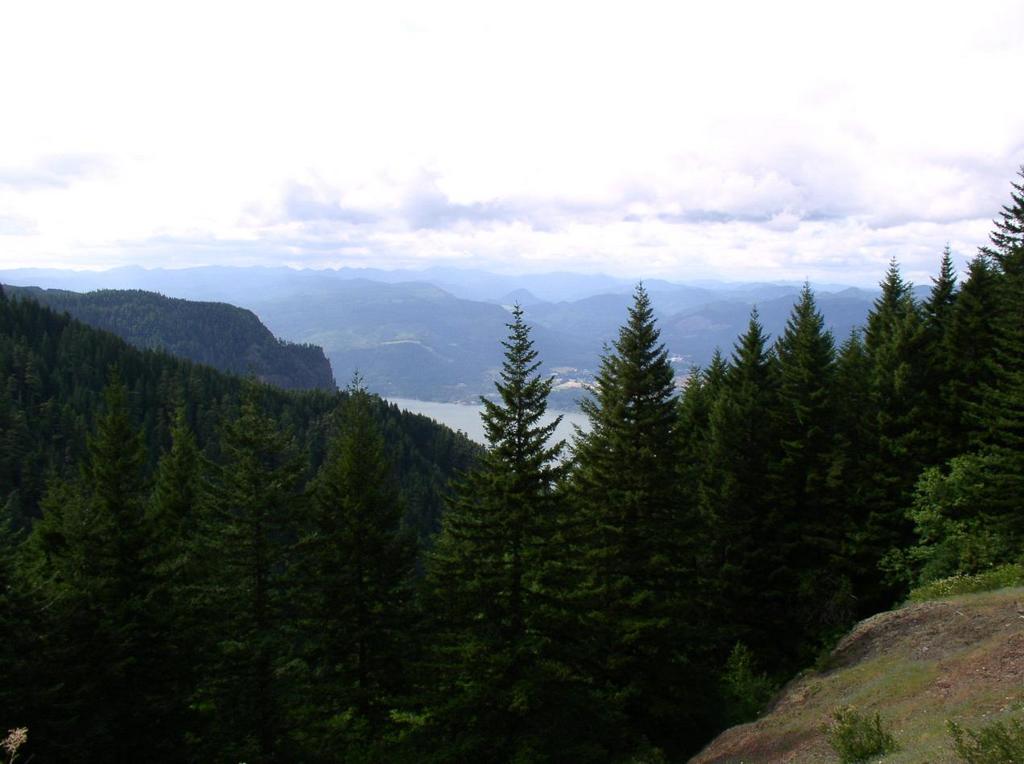 the_view