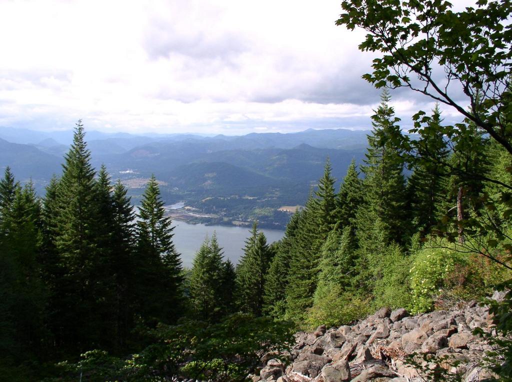 the_view1