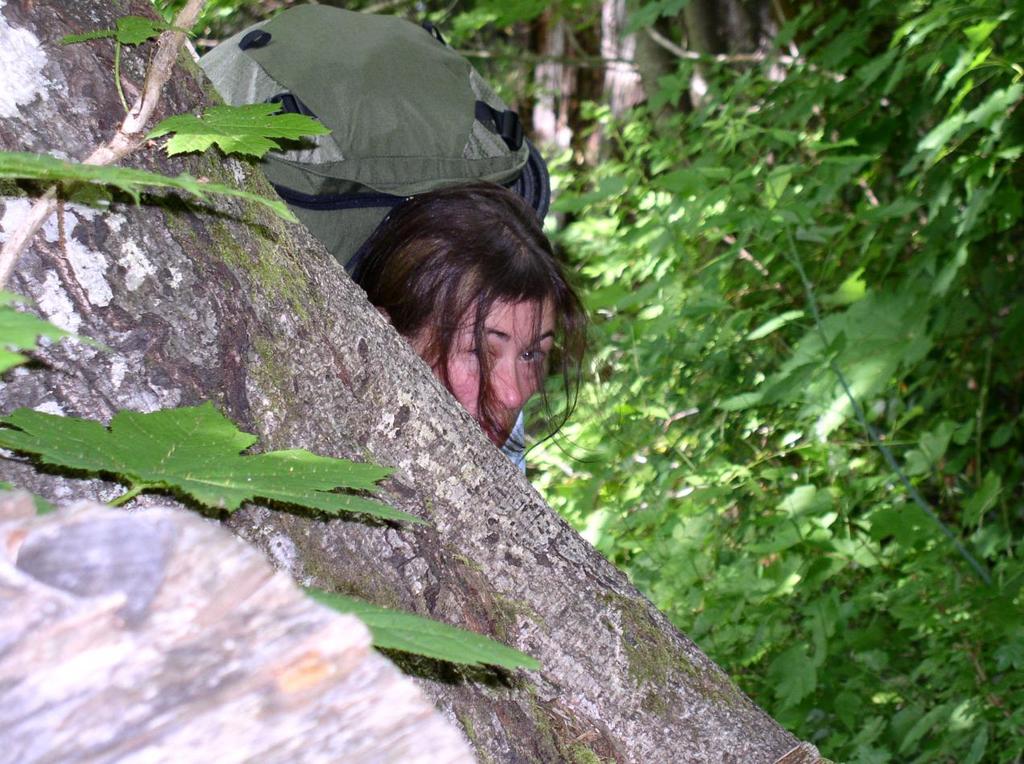 tired_troll